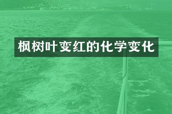 枫树叶变红的化学变化