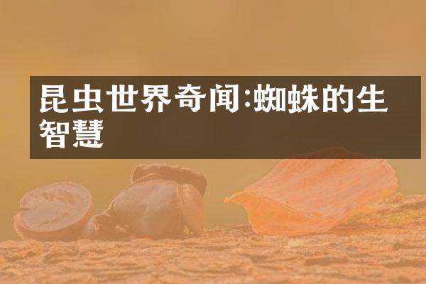 昆虫世界奇闻:蜘蛛的生存智慧