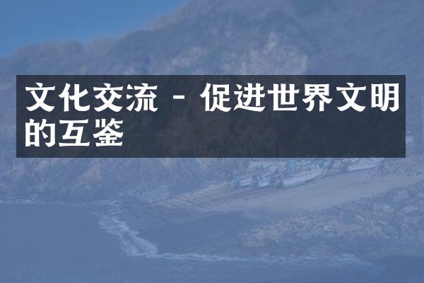 文化交流 - 促进世界文明的互鉴