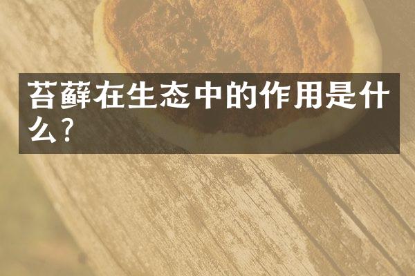 苔藓在生态中的作用是什么？