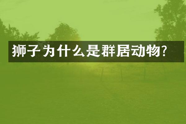 狮子为什么是群居动物？