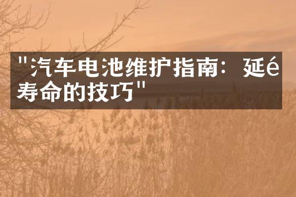 "汽车电池维护指南：延长寿命的技巧"
