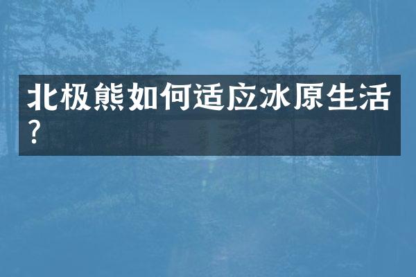 北极熊如何适应冰原生活？