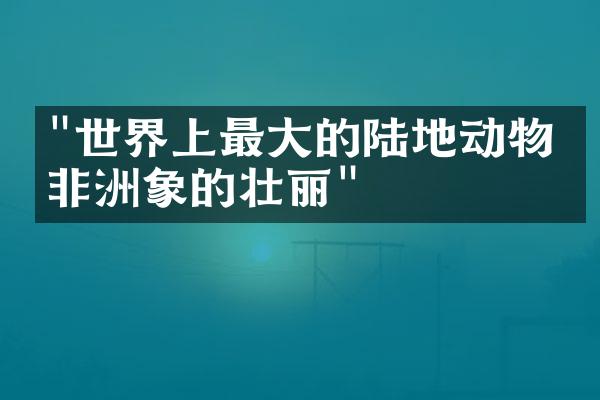 "世界上最大的陆地动物：非洲象的壮丽"