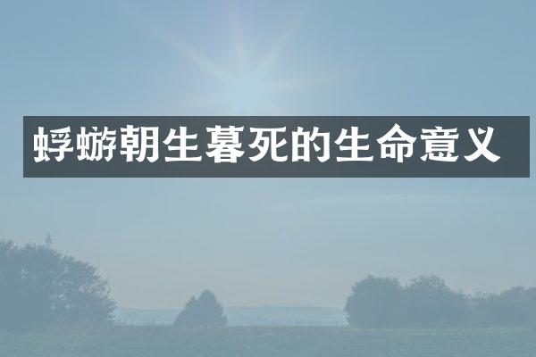 蜉蝣朝生暮死的生命意义