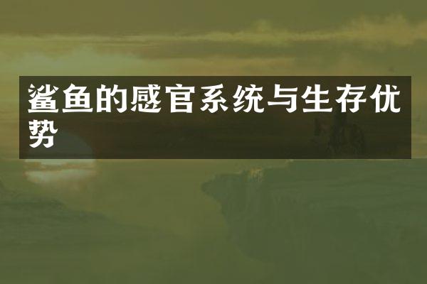 鲨鱼的感官系统与生存优势