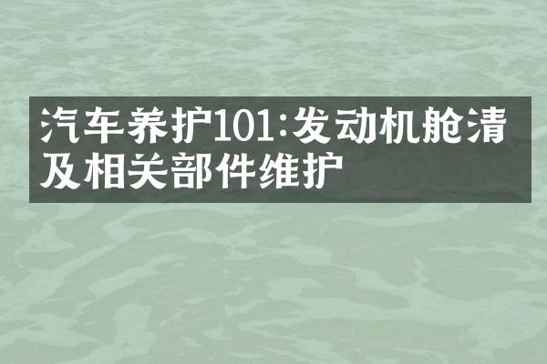 汽车养护101:发动机舱清洁及相关部件维护