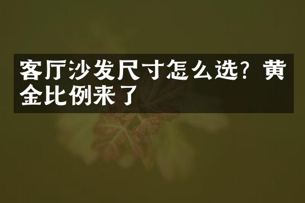 客厅沙发尺寸怎么选？黄金比例来了