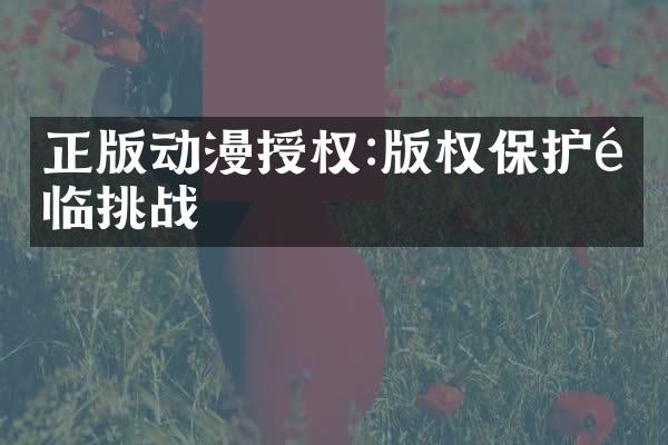 正版动漫授权:版权保护面临挑战
