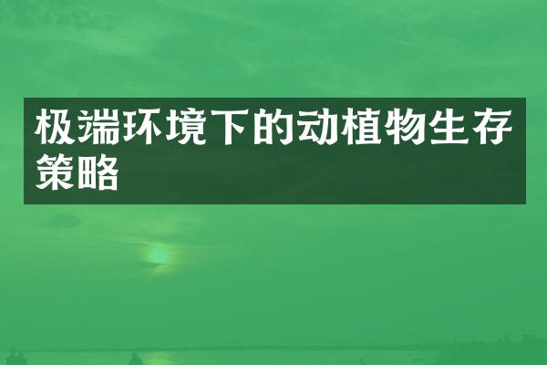 极端环境下的动植物生存策略