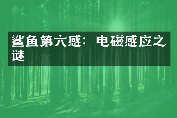 鲨鱼第六感：电磁感应之谜