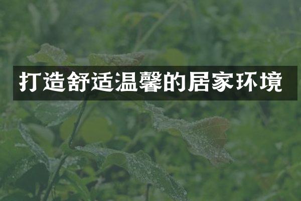 打造舒适温馨的居家环境