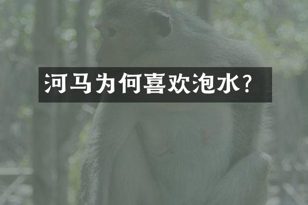 河马为何喜欢泡水？