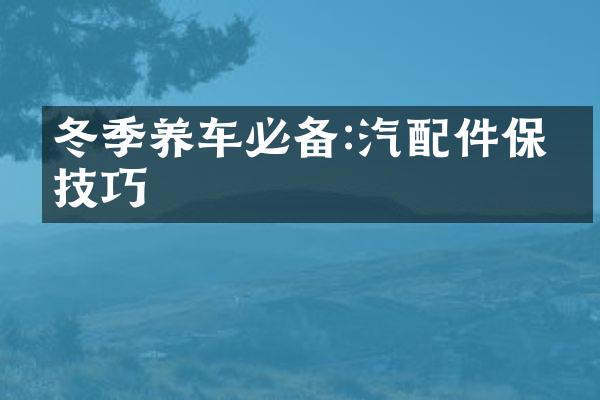 冬季养车必备:汽配件保养技巧
