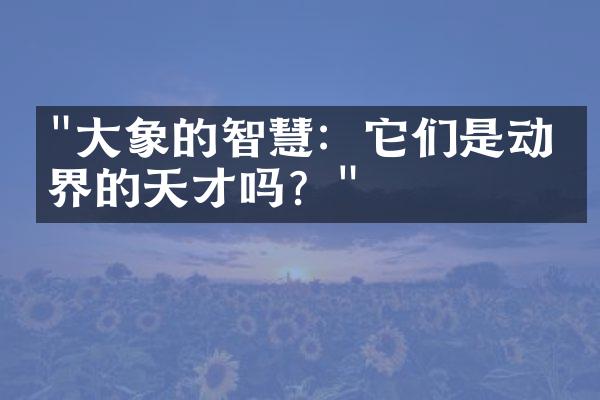 "大象的智慧：它们是动物界的天才吗？"