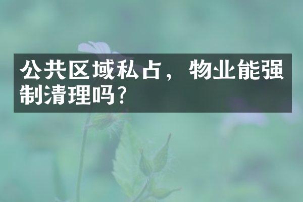 公共区域私占，物业能强制清理吗？