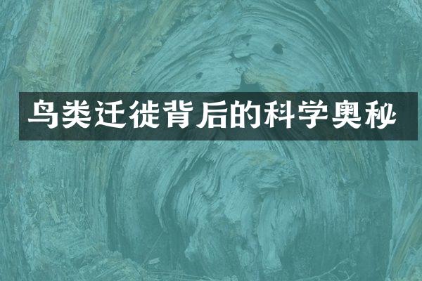 鸟类迁徙背后的科学奥秘