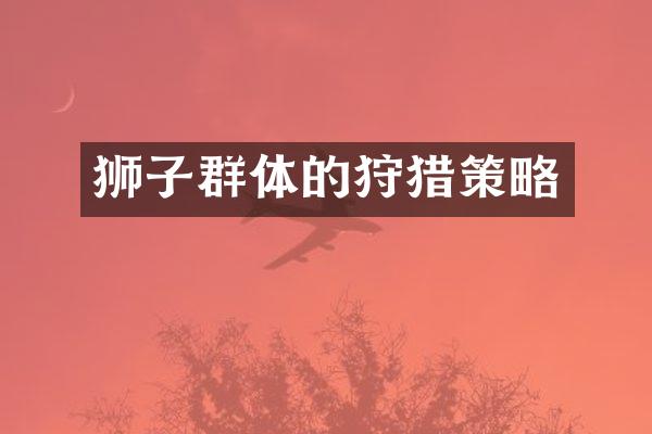 狮子群体的狩猎策略