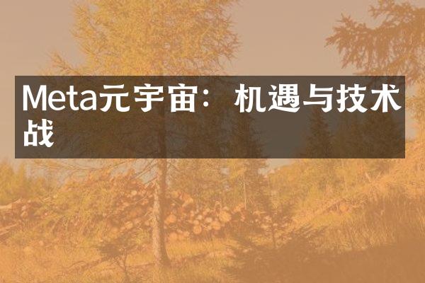 Meta元宇宙：机遇与技术挑战