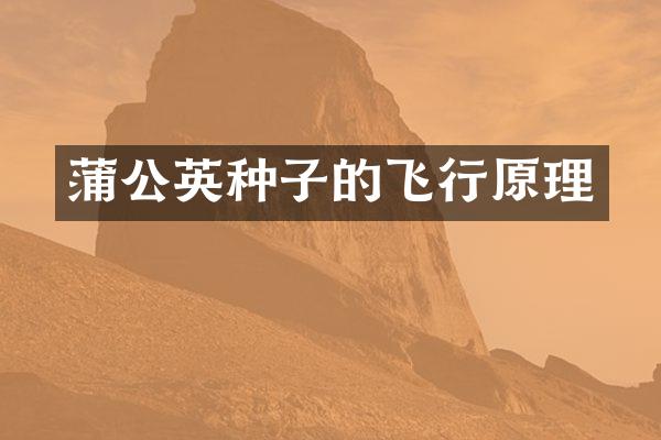 蒲公英种子的飞行原理