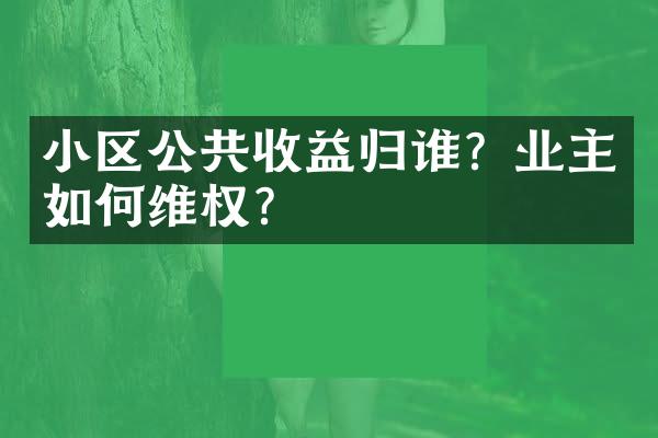 小区公共收益归谁？业主如何维权？