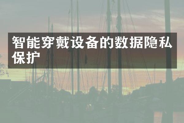 智能穿戴设备的数据隐私保护