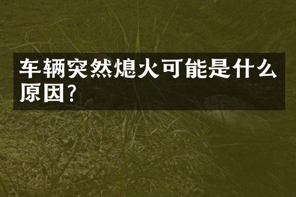 车辆突然熄火可能是什么原因？