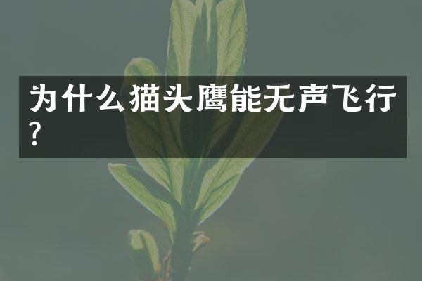 为什么猫头鹰能无声飞行？