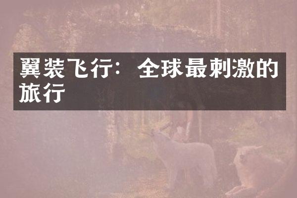 翼装飞行：全球最刺激的旅行