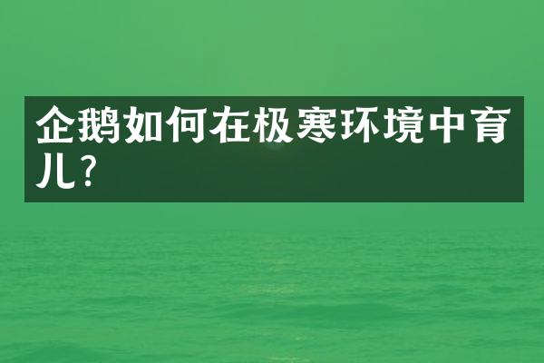 企鹅如何在极寒环境中育儿？