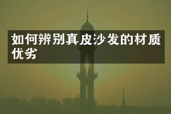 如何辨别真皮沙发的材质优劣
