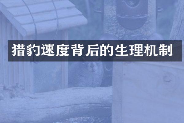 猎豹速度背后的生理机制