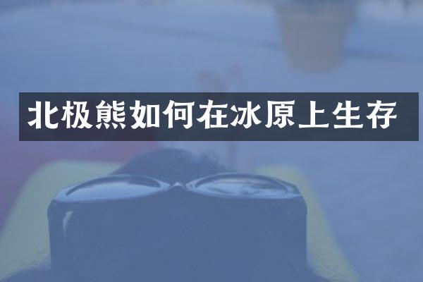 北极熊如何在冰原上生存