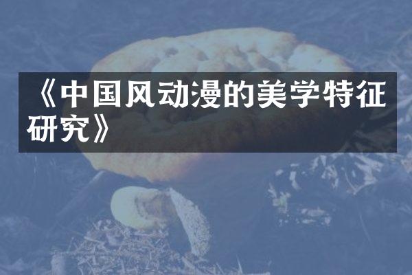 《中国风动漫的美学特征研究》