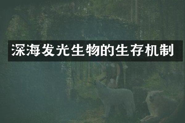 深海发光生物的生存机制