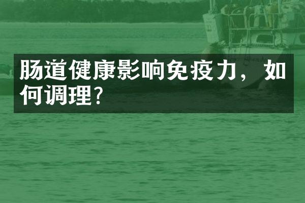 肠道健康影响免疫力，如何调理？