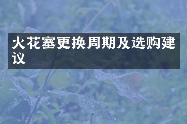 火花塞更换周期及选购建议