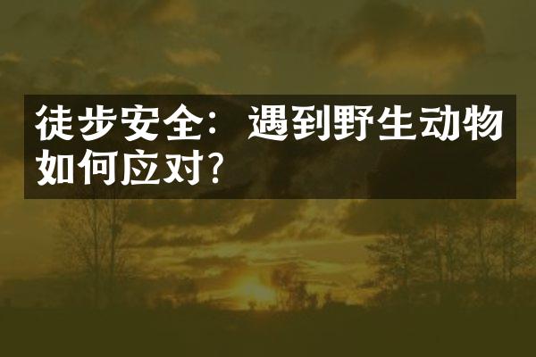 徒步安全：遇到野生动物如何应对？