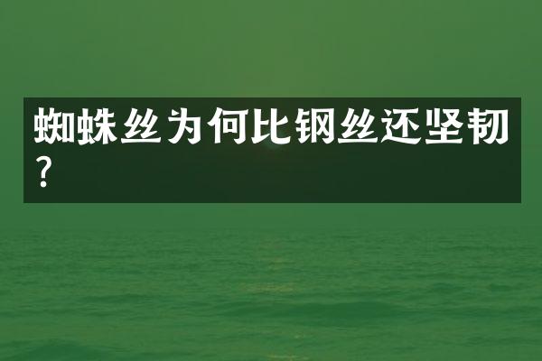 蜘蛛丝为何比钢丝还坚韧？
