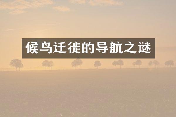 候鸟迁徙的导航之谜