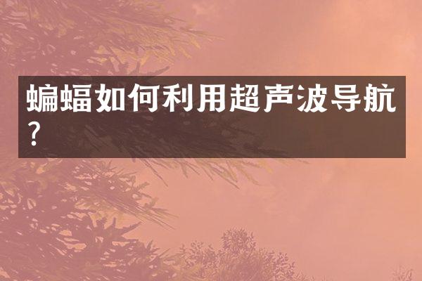 蝙蝠如何利用超声波导航？