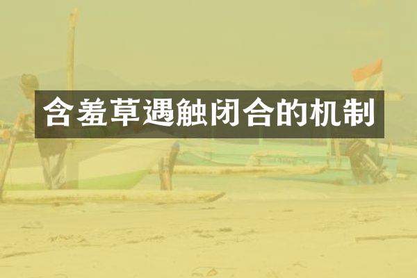 含羞草遇触闭合的机制