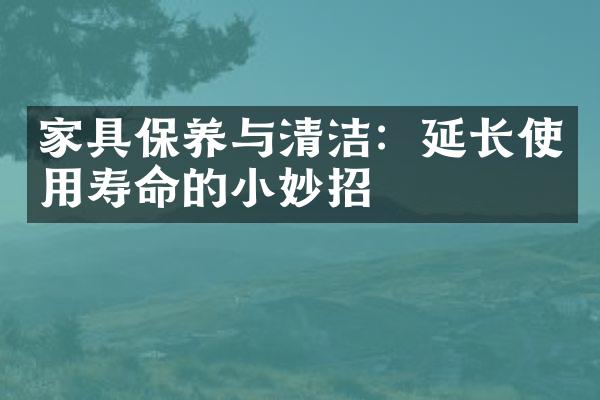 家具保养与清洁：延长使用寿命的小妙招