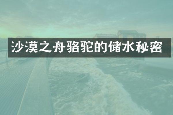 沙漠之舟骆驼的储水秘密