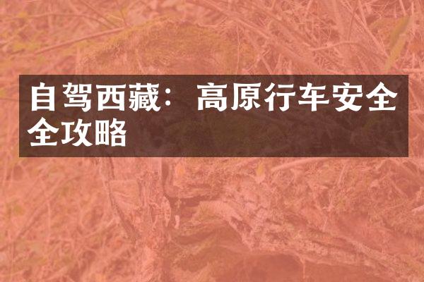 自驾西藏：高原行车安全全攻略