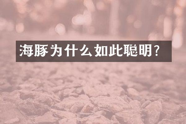 海豚为什么如此聪明？
