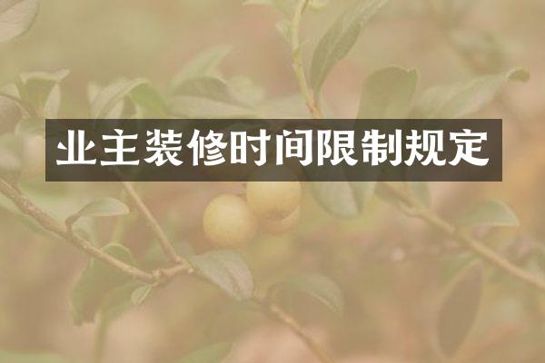 业主装修时间限制规定
