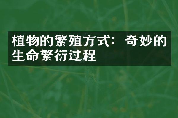 植物的繁殖方式：奇妙的生命繁衍过程