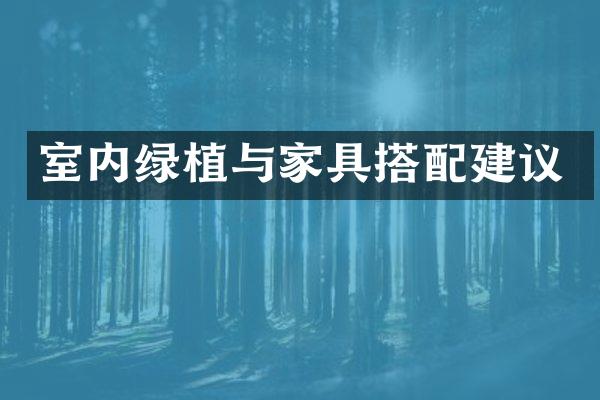 室内绿植与家具搭配建议
