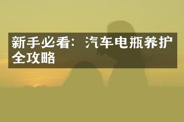 新手必看：汽车电瓶养护全攻略